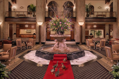 Peabody Ducks